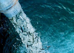 Artifishal - Der PATAGONIA-Kino-Film exklusiv in Schaffhausen